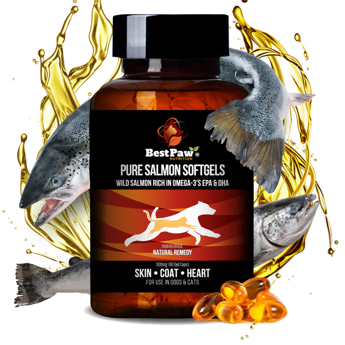 500 ml Braaaf Dog Salmon Oil - 10% Off!